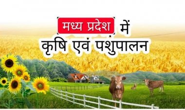 पशुपालन किसान क्रेडिट कार्ड योजना का पशुपालक  लाभ लें