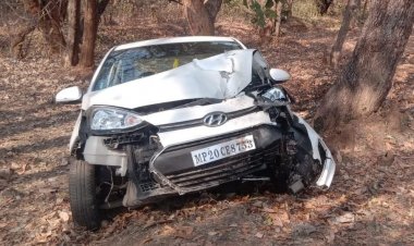 नेशनल पार्क बांधवगढ़ घूमने निकले एक ही परिवार का हुआ कार से दुर्घटना