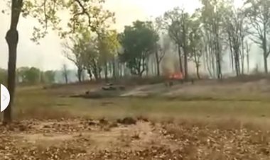 कुदरी के बाद अब चँसुरा बीट के जंगल में भीषण आग