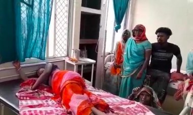जंगली सुवर के हमले से महिला गम्भीर