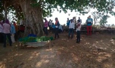 72 घण्टे बाद लापता युवक पेड़ पर लटकता मिला