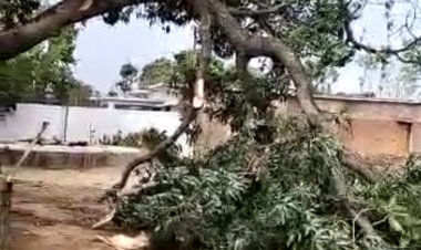 आन्धी तूफान ने ली जान