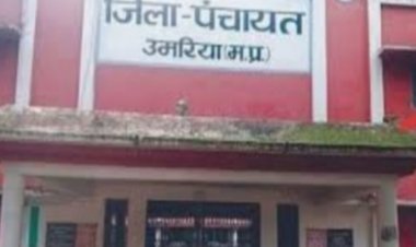 जिला पंचायत का आरक्षण, कौन सा वार्ड किस वर्ग के लिए आरक्षित