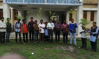 पाली महाविद्यालय में अंकुर अभियान के तहत वृहद पौधारोपण कार्यक्रम आयोजित