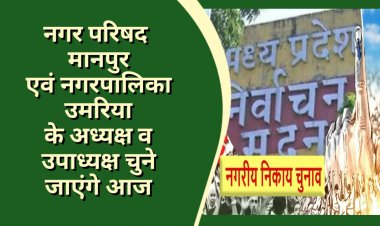 नगरीय निकाय निर्वाचन: नगर सरकार पर कयासों का दौर, साइलेंट मोड पर दोनो प्रमुख पार्टियां