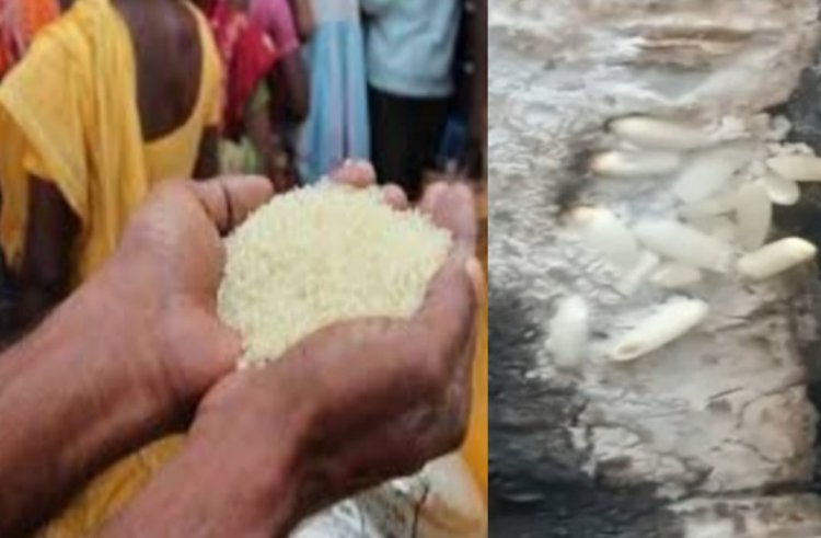 राशन दुकान से प्लास्टिक के चावल मिलने की फैली अफवाह, इधर खाद्य अधिकारी ने बताया एनीमिया कोटेड है चावल