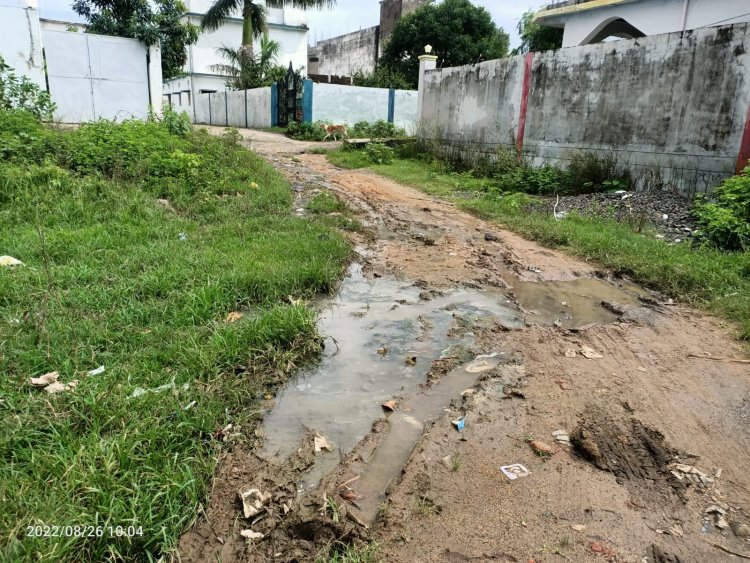 शहरी क्षेत्र के क़ई वार्ड सड़क विहीन, नालियों का गंदा पानी आ रहा सड़क पर,  विकास की बाट जोहता नगरीय क्षेत्र