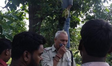 ज्वालामुखी  के जंगल मे पेड़ पर लगे फंदे में लटकता मिला शव