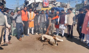 नगर भाजपा मंडल ने फूका बिलावल भुट्टों का पुतला