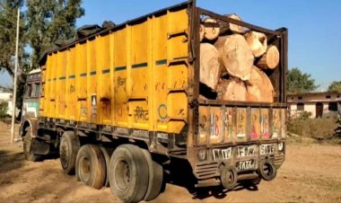 MP: शहडोल में बेशकीमती लकड़ी से भरा ट्रक जब्त
