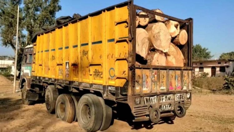 MP: शहडोल में बेशकीमती लकड़ी से भरा ट्रक जब्त