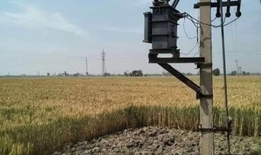 किसान समाचार: ट्रांसफार्मर के आसपास सफाई करके बचायें अपनी फसल