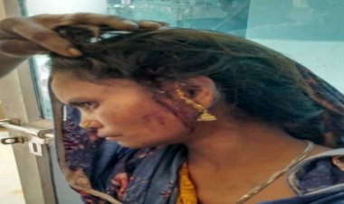 बाघ शावक के हमले से महिला हुई लहू लुहान