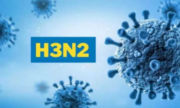 देश में H3N2 वायरस का कहर : अब तक 9 लोगों की हो चुकी मौत, महाराष्ट्र में सबसे ज्यादा केस