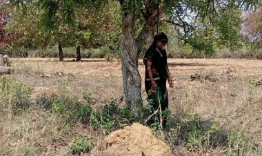 लापता महिला का शव पेड़ में लटकता मिला