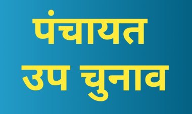 पंचायतों के उप निर्वाचन का कार्यक्रम जारी,  मतदान 13 जून को होगा