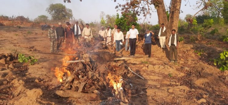 फिर  हुई बाघ  की मौत, संदिग्ध परिस्थितियों में मिली लाश