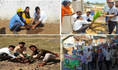 विष्व पर्यावरण दिवस के अवसर पर जिला मुख्यालय सहित जिले भर में आयोजित किए गए  वृक्षारोपण के कार्यक्रम