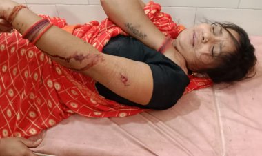 बाघ के हमले से महिला हुई घायल
