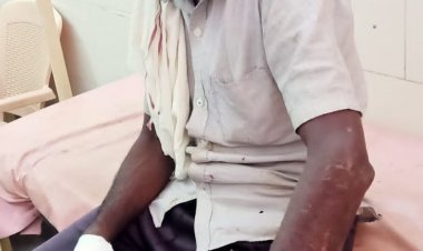 भालू के हमले से  चरवाहा हुआ घायल