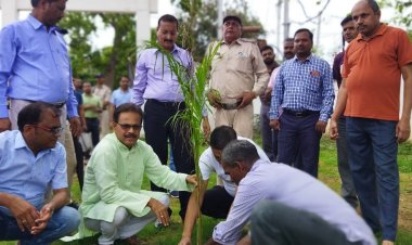 प्रकृति को हरा-भरा बनाने वृक्षारोपण और संरक्षण की ज़रूरत-कलेक्टर