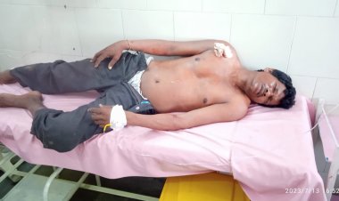 बाघ के हमले से मवेशी चरवाहा हुआ घायल