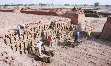ईंट भट्ठों के लिए खनिज विभाग की नई गाइडलाइन जारी, कुम्हारों को सरकार को देना होगा राजस्व, कलेक्टर देंगे परमिशन