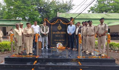 बीटीआर को फिर मिला टाइगर स्टेट का दर्जा, 35 फीसदी बाघ बढ़े