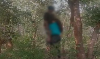 ऐसा क्या हुआ नाबालिग प्रेमी युगल ने जंगल में लगाई फांसी, पेड़ में एक ही फंदे पर लटका मिला शव, फैली सनसनी