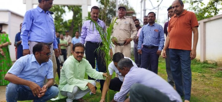 प्रकृति को हरा-भरा बनाने वृक्षारोपण और संरक्षण की ज़रूरत-कलेक्टर