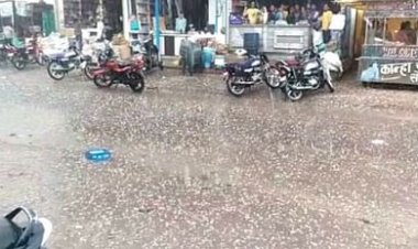 भारी वर्षा से असुविधा को देखते हुए जिले में एक दिवस स्कूल बंद रहेंगे