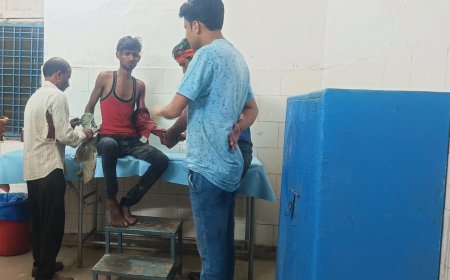 .....फिर से बाघ ने चरवाहे पर किया हमला?  आखिर चूक किसकी...?
