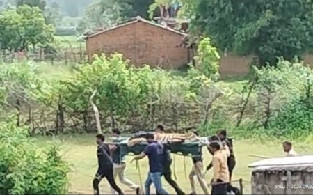 पूरी रात निगरानी कर अंततः बाघ का हुआ रेस्क्यू,  बाड़े में कैद