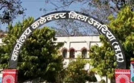 कलेक्टर ने जनशिक्षक को किया निलंबित