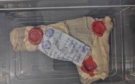 पुलिस की बड़ी कारवाई, पिस्टल व दो जिंदा कारतूस सहित आरोपी  गिरफ्तार