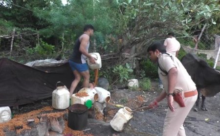 रेड कार्यवाही की भनक लगते ही शराब माफिया फरार, 1680 किलो महुआ लाहन जपत