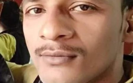बाघ को देख दशहत मे आये दो दोस्त, भागने के दौरान एक दोस्त जख्मी