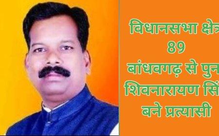 भाजपा ने जारी की पांचवीं सूची, बांधवगढ़ से  शिवनारायण सिंह को मिली टिकिट