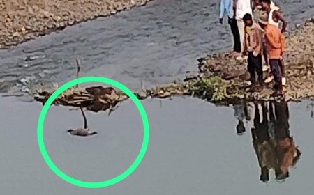 पानी मे तैरता इंसानी शव मिला, गांव में मचा हड़कंप