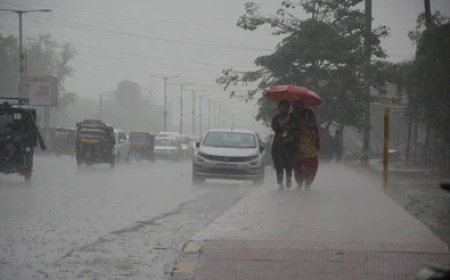 प्रदेशभर के आधे जिलों में बारिश का अलर्ट, घने कोहरे की वजह से आवागमन के साधन हो रहे लेट