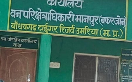 वन परिक्षेत्र मानपुर के चेचपुर में आज किया जाएगा अनुभूति कार्यक्रम