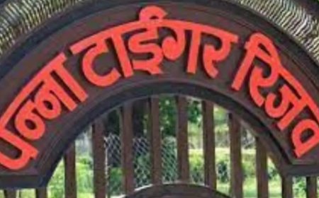 पूर्व बीजेपी विधायक के भाई पर वन विभाग की मेहरबानी, गंभीर अपराध को बनाया मामूली