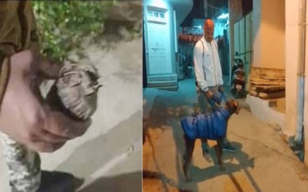 आरएसएस  कार्यालय में हैंड ग्रेनेड मिलने से मचा हड़कंप, गेंद समझकर खेल रहे थे बच्चे, स्निफर डॉग और बम डिस्पोजल टीम पहुंची