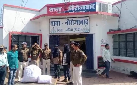 कोरेक्स और गांजे सहित दो आरोपी धरे गए, दो बाइक भी जपत