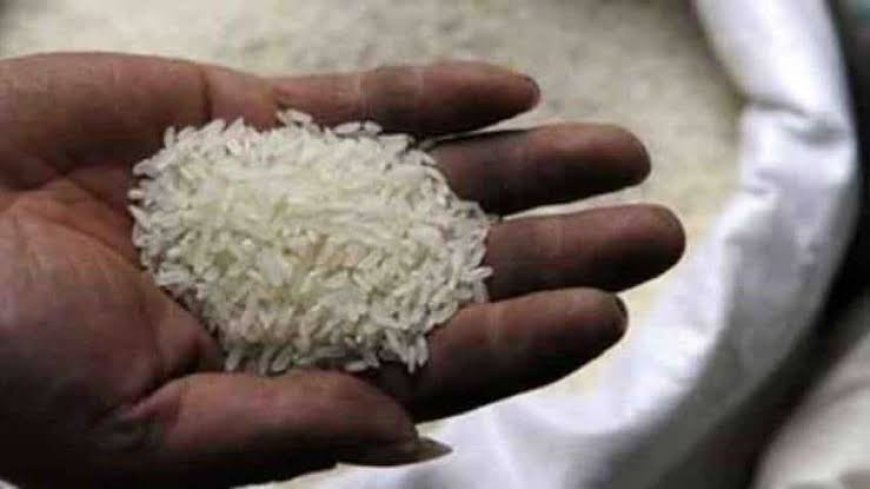 सरकार का आदेश:  चावल व्यापारियों को देनी होगी जानकारी, दाम 29 रुपये किलो रखने का निर्देश