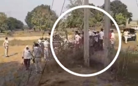 वन अमला ने रोका अतिक्रमण, वाहन भी जप्त