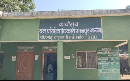 वन अमले पर हावी हुए क्षेत्र के रेत माफिया