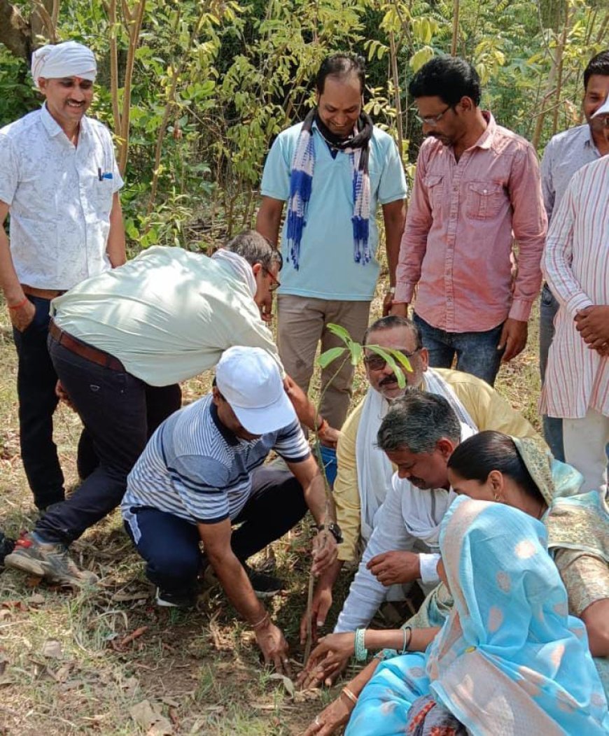 विश्व पर्यावरण दिवस पर साफ़ सफाई अभियान जारी