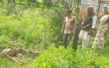 पानी से भरे खेत मे मिली अज्ञात  विक्षिप्त महिला