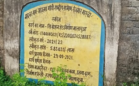 फर्जी फर्मो के नाम से होती है ग्राम पंचायतों में विकास कार्य में लगाने वाली सामग्री की सप्लाई